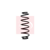 Apec Coil Spring ACS1117 thumbnail