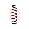 Apec Coil Spring ACS1122 thumbnail