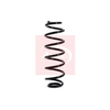 Apec Coil Spring ACS1121 thumbnail