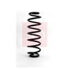 Apec Coil Spring ACS1123 thumbnail