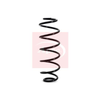 Apec Coil Spring ACS1124 thumbnail