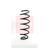 Apec Coil Spring ACS1125 thumbnail