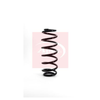Apec Coil Spring ACS1127 thumbnail