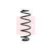 Apec Coil Spring ACS1129 thumbnail