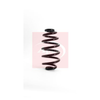 Apec Coil Spring ACS1131 thumbnail
