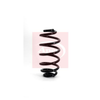 Apec Coil Spring ACS1132 thumbnail