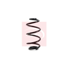 Apec Coil Spring ACS1133 thumbnail