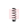 Apec Coil Spring ACS1134 thumbnail