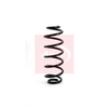 Apec Coil Spring ACS1137 thumbnail