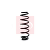 Apec Coil Spring ACS1138 thumbnail