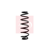 Apec Coil Spring ACS1139 thumbnail