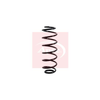Apec Coil Spring ACS1141 thumbnail