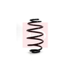 Apec Coil Spring ACS1145 thumbnail