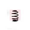 Apec Coil Spring ACS1146 thumbnail