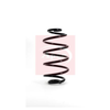Apec Coil Spring ACS1152 thumbnail