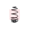 Apec Coil Spring ACS1157 thumbnail