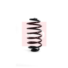 Apec Coil Spring ACS1159 thumbnail