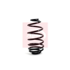 Apec Coil Spring ACS1160 thumbnail