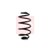 Apec Coil Spring ACS1161 thumbnail