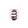 Apec Coil Spring ACS1171 thumbnail