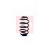 Apec Coil Spring ACS1172 thumbnail