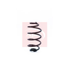 Apec Coil Spring ACS1173 thumbnail