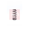 Apec Coil Spring ACS1180 thumbnail