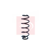 Apec Coil Spring ACS1179 thumbnail