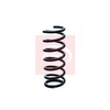 Apec Coil Spring ACS1191 thumbnail
