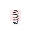 Apec Coil Spring ACS1202 thumbnail