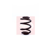 Apec Coil Spring ACS1206 thumbnail