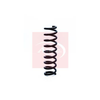Apec Coil Spring ACS1213 thumbnail