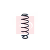 Apec Coil Spring ACS1222 thumbnail