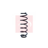 Apec Coil Spring ACS1242 thumbnail