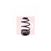 Apec Coil Spring ACS1244 thumbnail