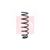 Apec Coil Spring ACS1253 thumbnail