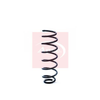 Apec Coil Spring ACS1254 thumbnail