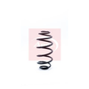 Apec Coil Spring ACS1261 thumbnail
