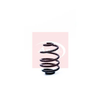 Apec Coil Spring ACS1271 thumbnail