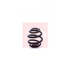 Apec Coil Spring ACS1296 thumbnail