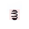 Apec Coil Spring ACS1290 thumbnail