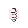 Apec Coil Spring ACS1297 thumbnail