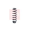 Apec Coil Spring ACS1302 thumbnail