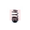 Apec Coil Spring ACS1312 thumbnail