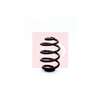 Apec Coil Spring ACS1315 thumbnail