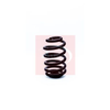 Apec Coil Spring ACS1316 thumbnail