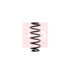 Apec Coil Spring ACS1323 thumbnail