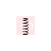 Apec Coil Spring ACS1344 thumbnail
