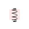 Apec Coil Spring ACS1345 thumbnail
