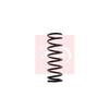 Apec Coil Spring ACS1349 thumbnail
